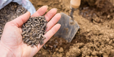 Kippenmestkorrels als bodemverbeteraar voor je hele tuin