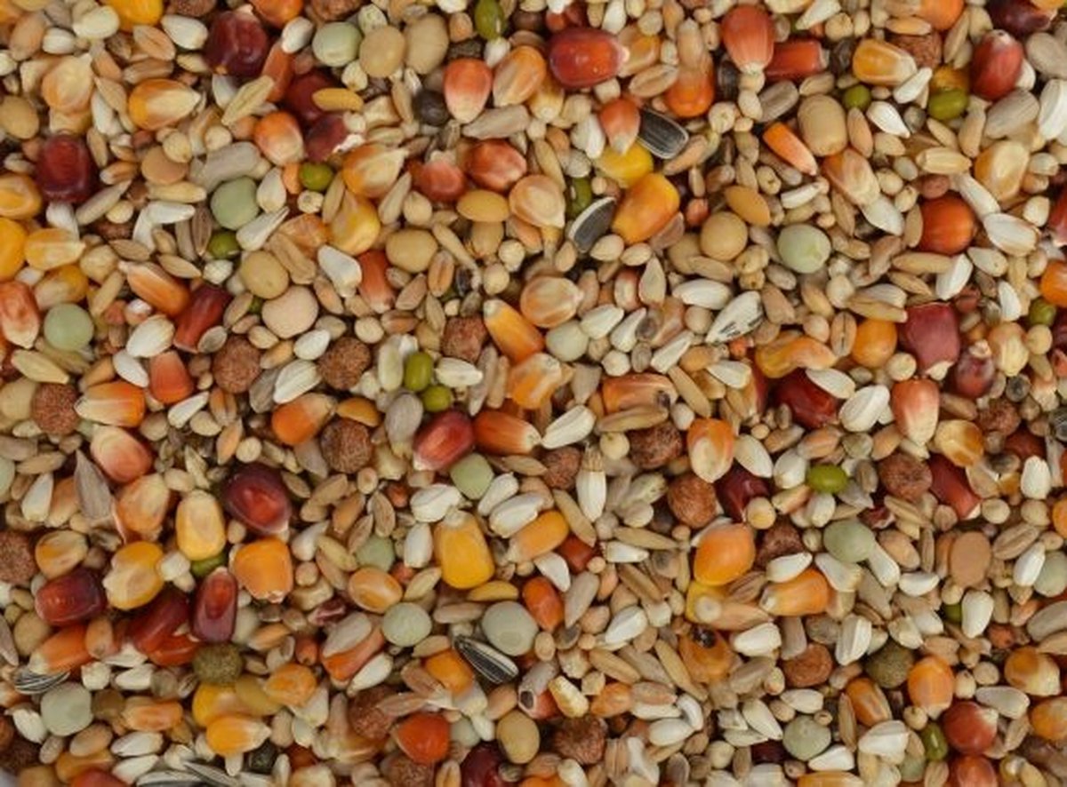 Embregts Theunis Championsmix 20kg