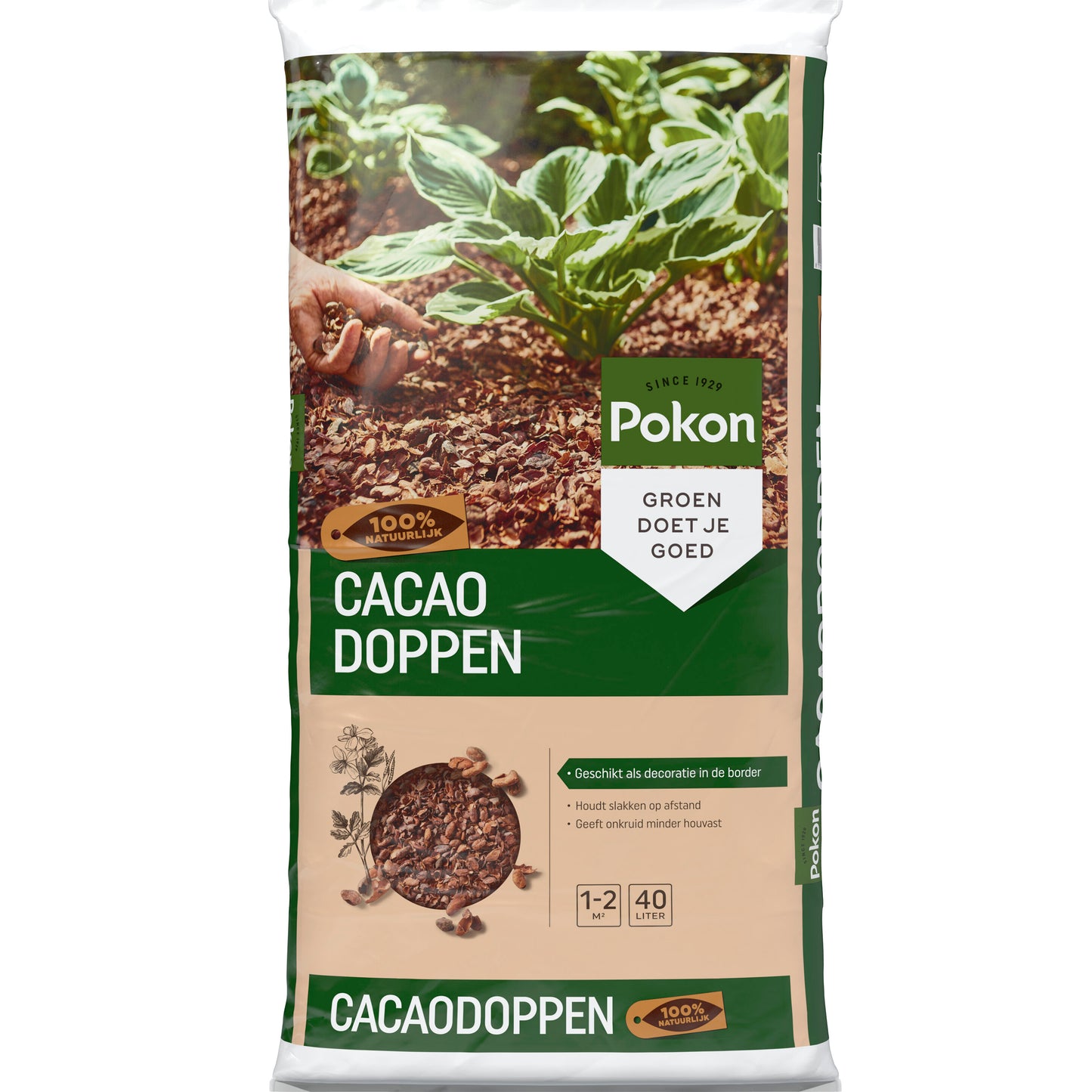 Pokon Cacaodoppen
