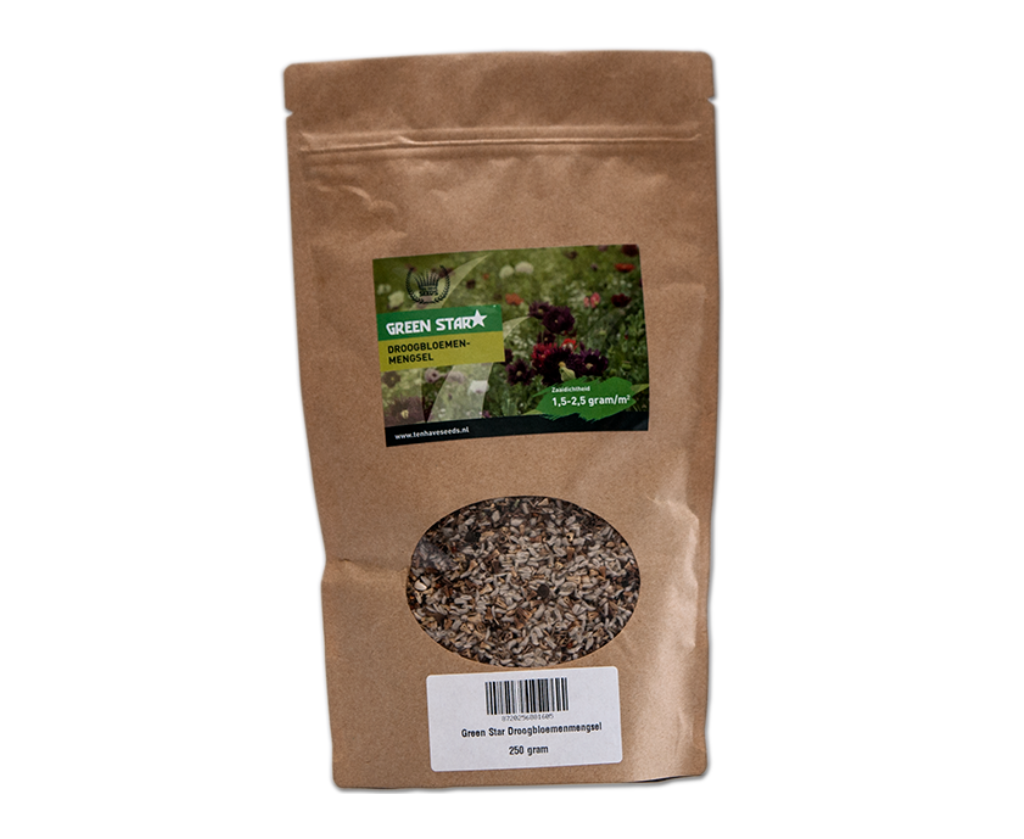 Ten Have Seeds - Green Star - Droogbloemenmengsel