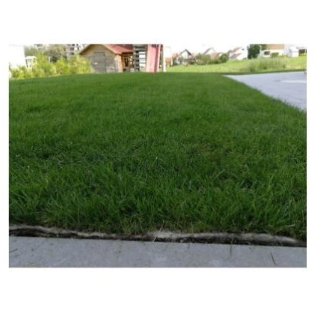 EasyGreen Grasvlies - Sport & Spel - 1,2m²
