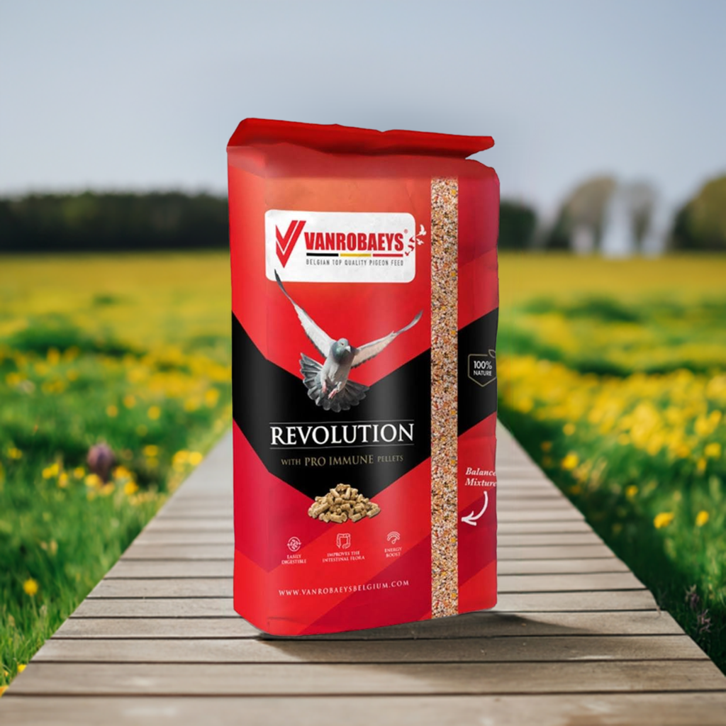 Vanrobaeys 57 Revolution sport light pro Duivenvoer