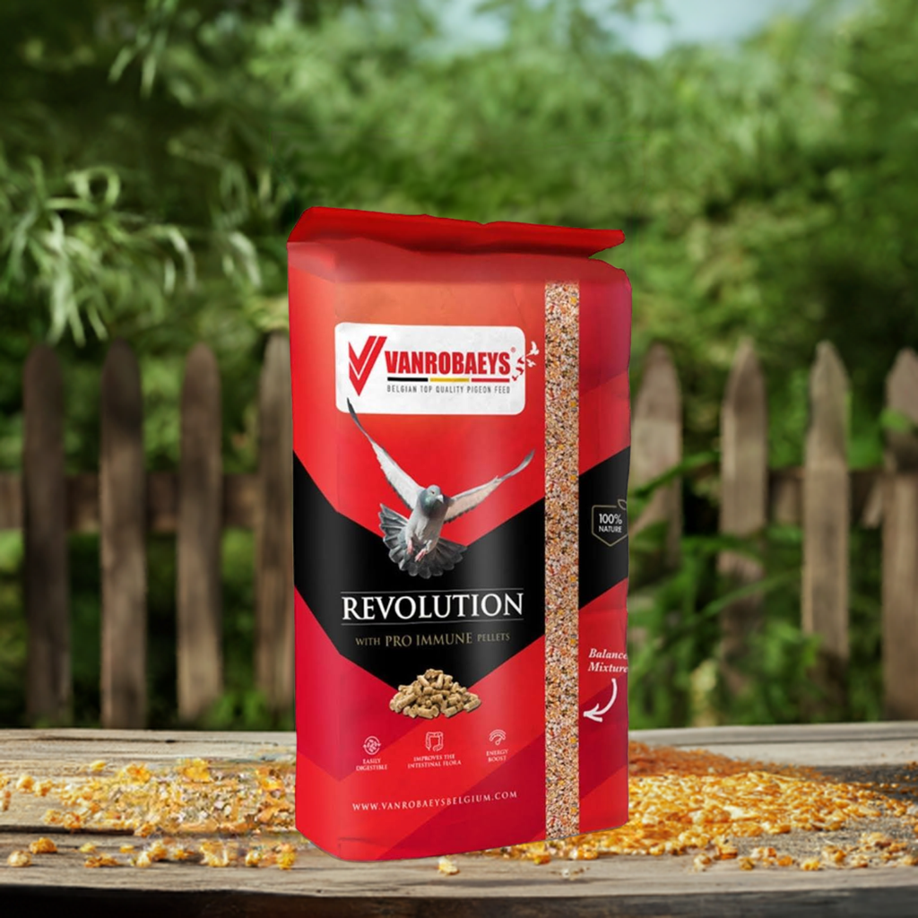 Vanrobaeys 57 Revolution sport light pro Duivenvoer