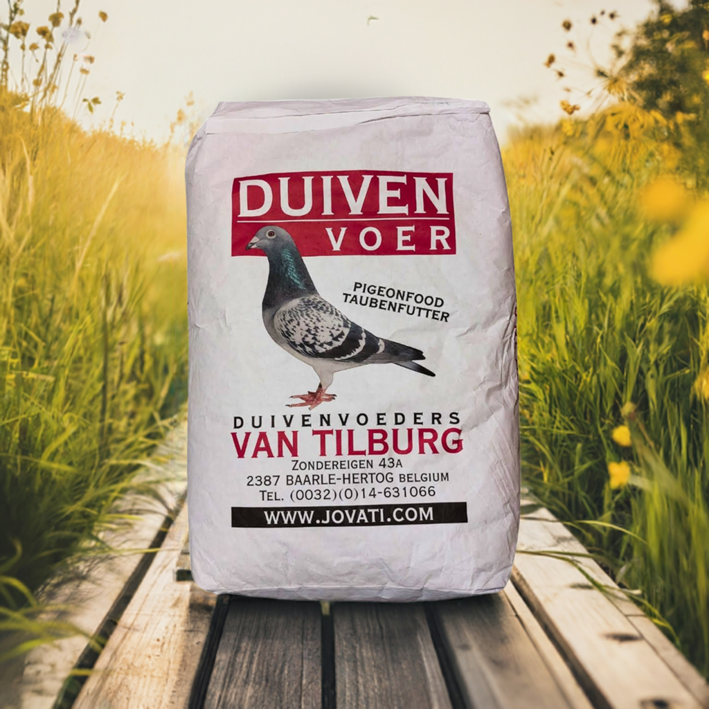 Vtb 14 Junior Jonge Duiven Duivenvoer