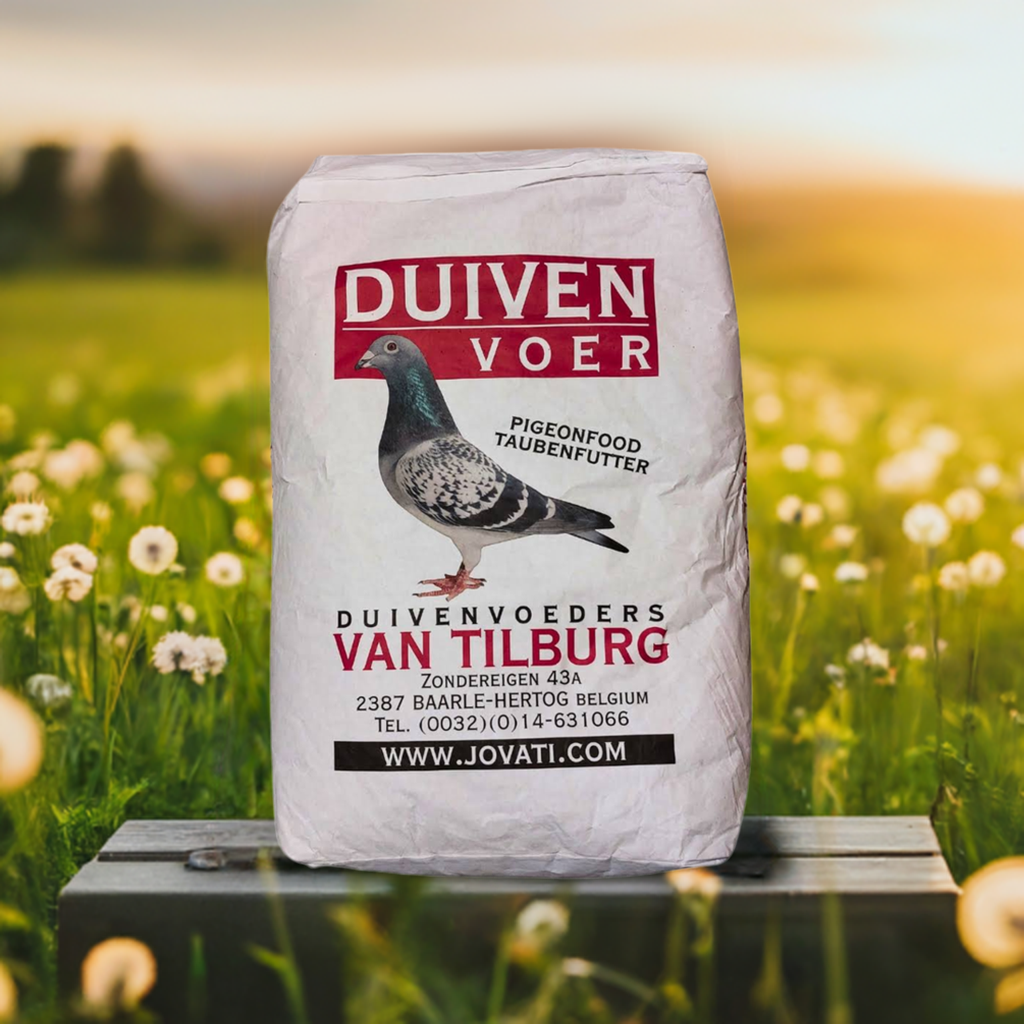 Vtb 14 Junior Jonge Duiven Duivenvoer
