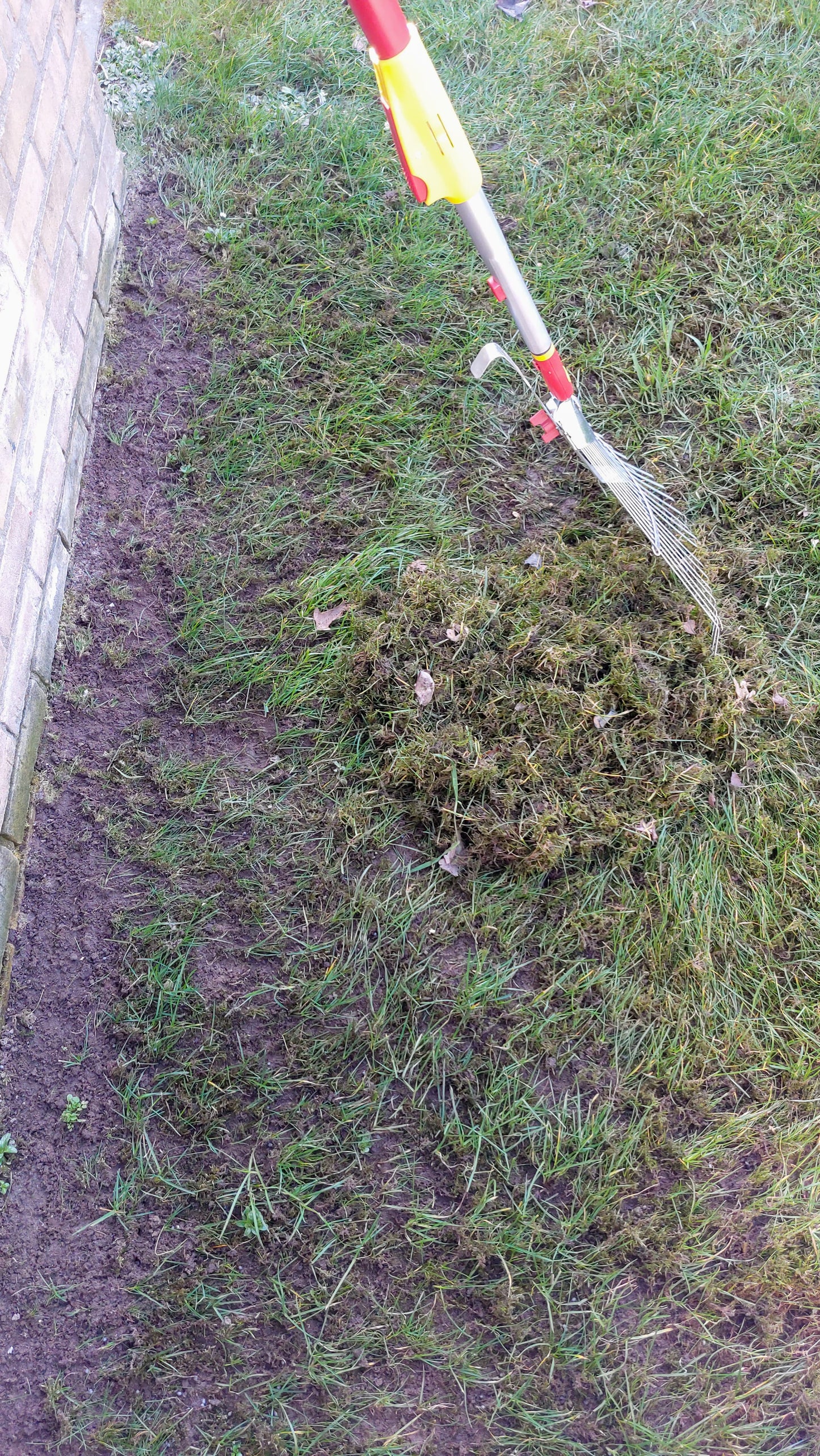 IJzersulfaat 30 - Tegen mos