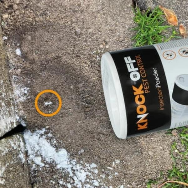 Knock Off Insectenpoeder