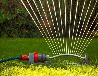 Droogte in de tuin? Zo help je je gazon en borders de zomer door