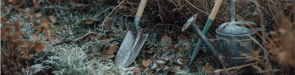 Wat te doen in de tuin in december 2025