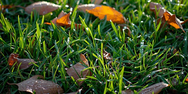 Nog even kalken in november: het is de moeite waard