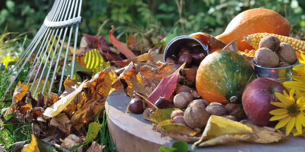 5 leuke herfst knutselideeën met de schatten uit je tuin