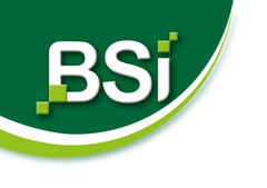 BSi