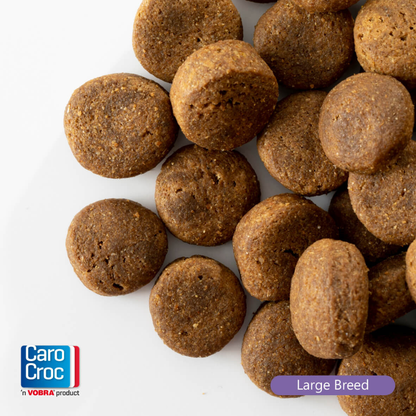CaroCroc Large Breed 27/16 - 12,5 kg