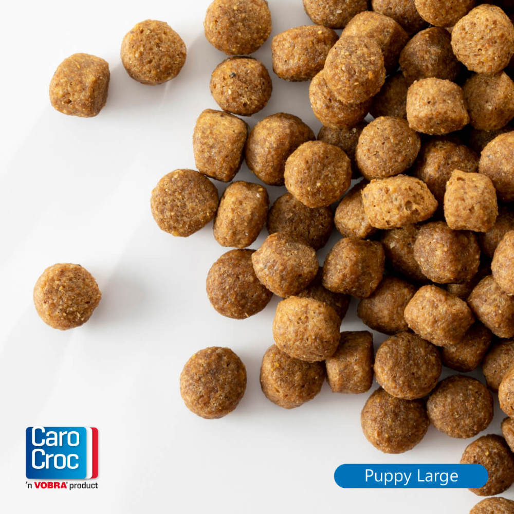 CaroCroc Puppy Large 27/17 - Hondenvoer