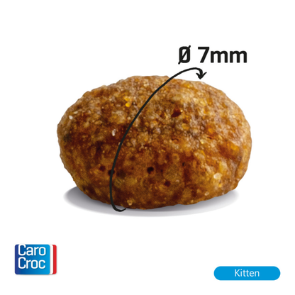 Carocroc 33/19 Kitten - 2kg - Kattenvoer