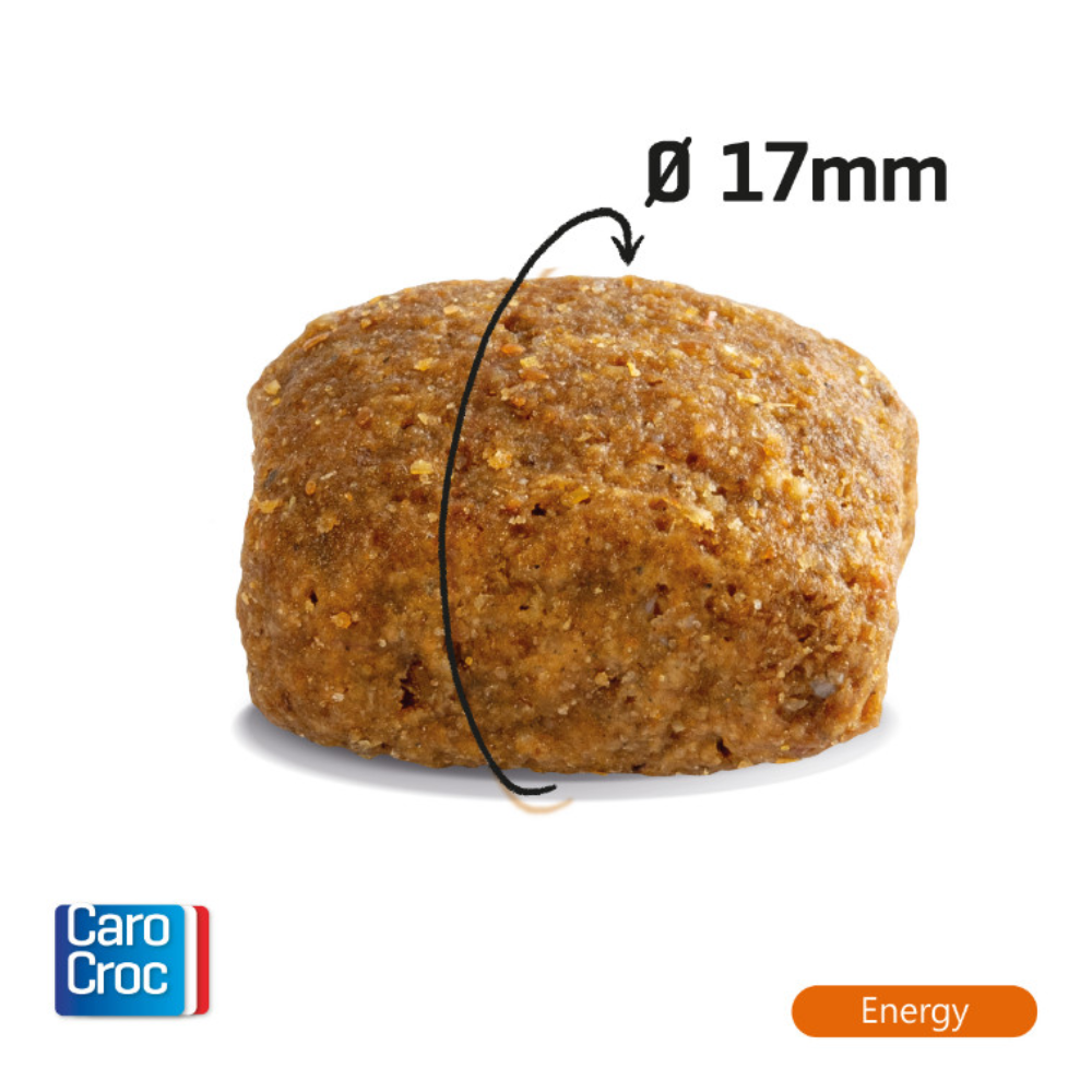 CaroCroc Energy 25/16 - 12,5 kg