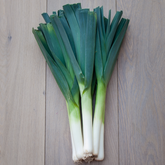 Prei plantje OP = OP