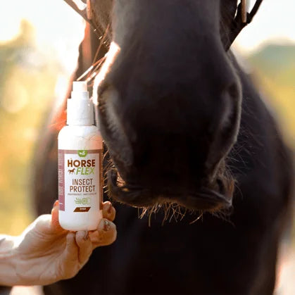 Insect Protect Spray
