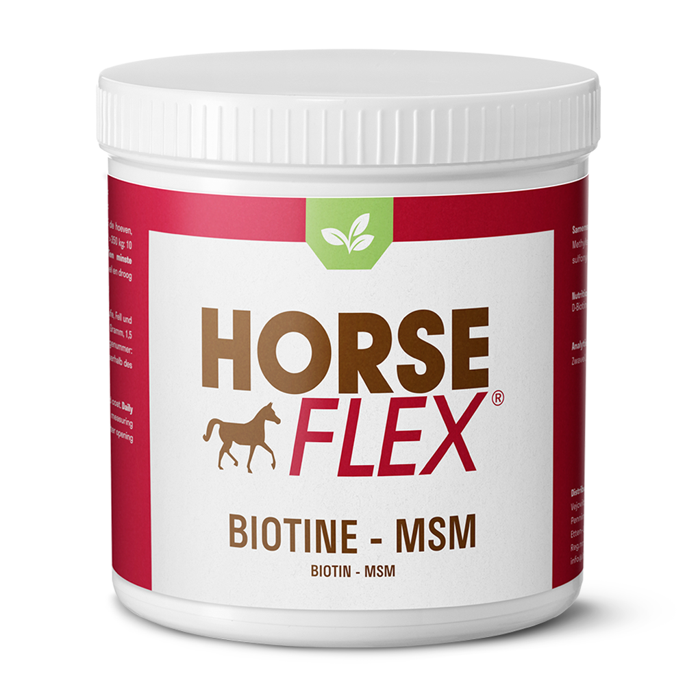 HorseFlex - Biotine-MSM - 300g