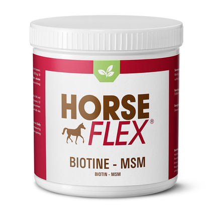 HorseFlex - Biotine-MSM - 300g