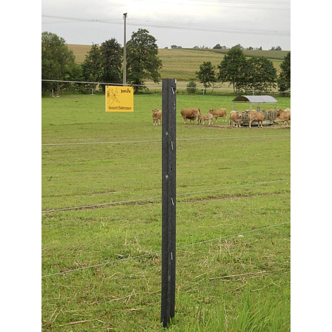 PolyPaal 1,85m kruisprofiel 70 x 70 mm, gepunt