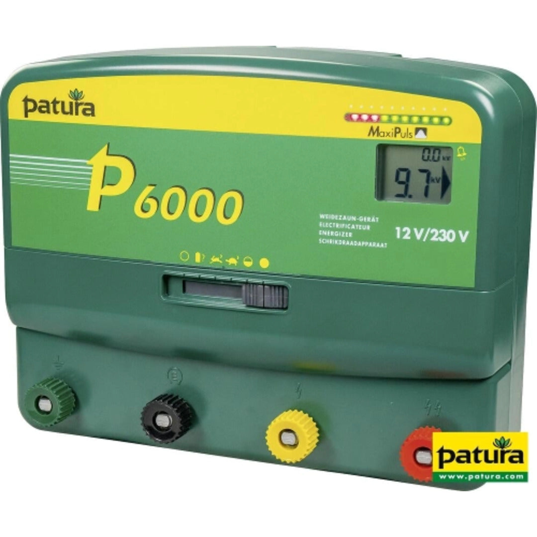 P6000 multifunctionele apparaat 230V / 12V MaxiPuls-Technologie,
