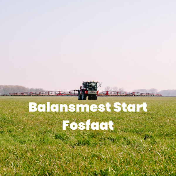 Balansmest Start - Industrieel Leverancier