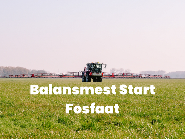Balansmest Start