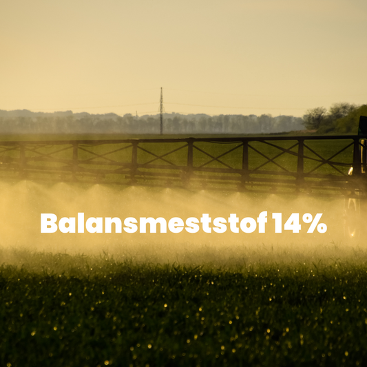 Balansmest 14%