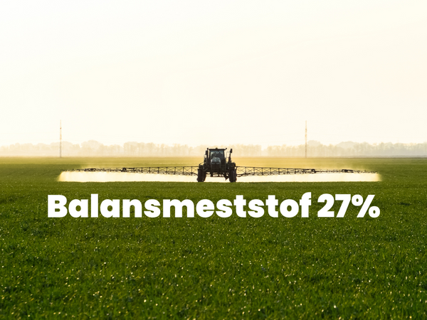 Balansmest 27%
