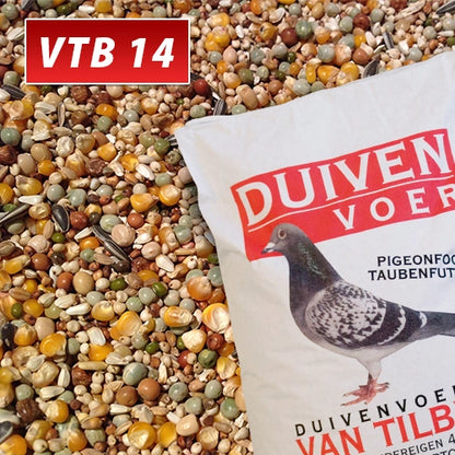 Vtb 14 Junior Jonge Duiven Duivenvoer