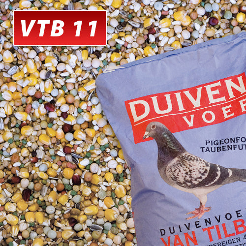 Vtb 11 Rui Plus Duivenvoer