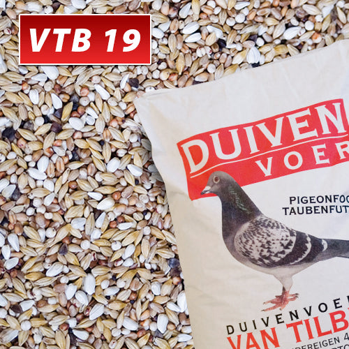 VTB 19 Zuivering Basic Line Duivenvoer