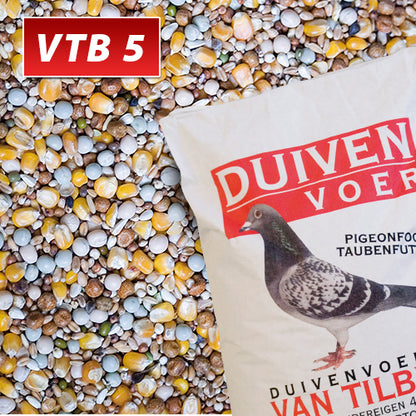 Vtb 5 Vlucht Vitaly Duivenvoer