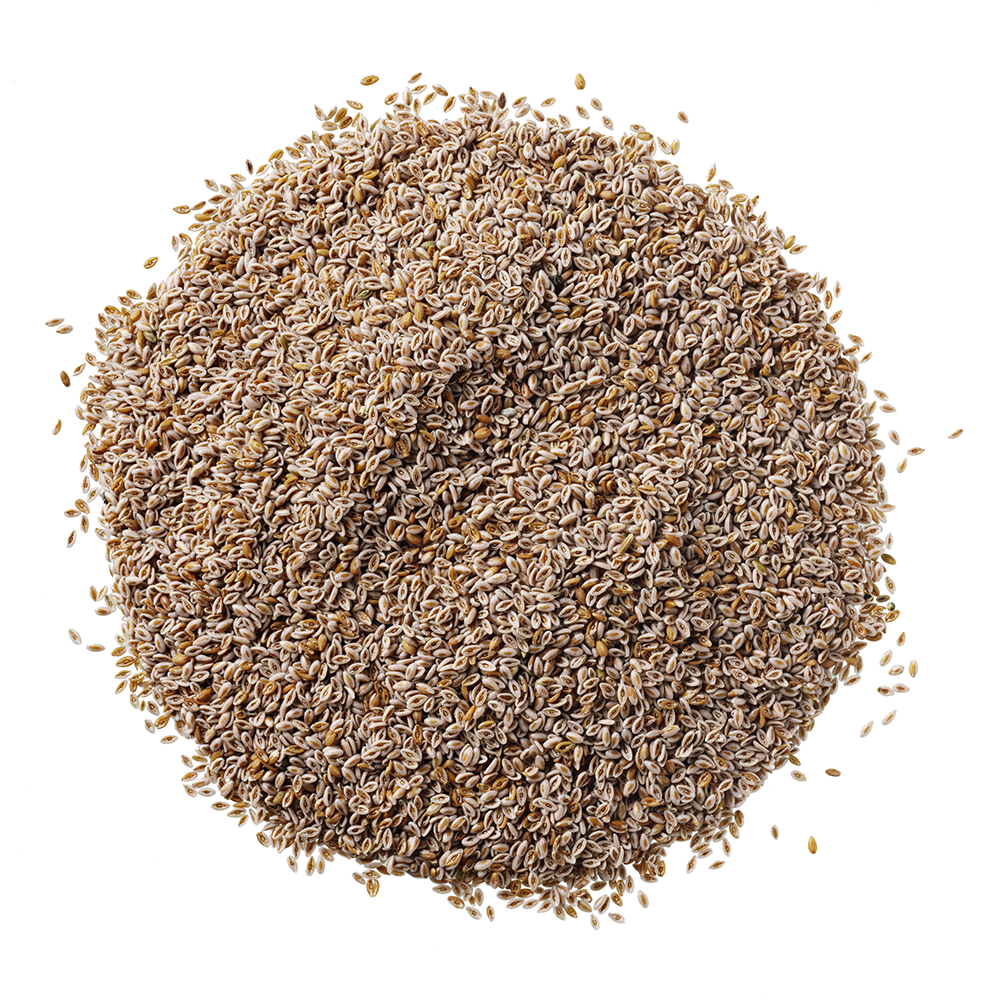 HorseFlex Vlozaad 750g