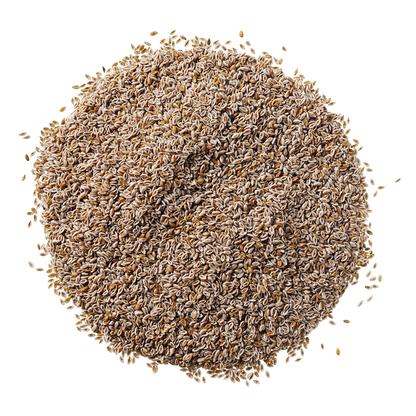 HorseFlex Vlozaad 750g
