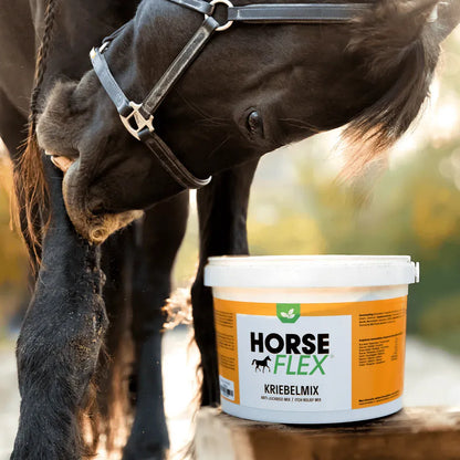 Horseflex Kriebelmix - Paarden - 1000g