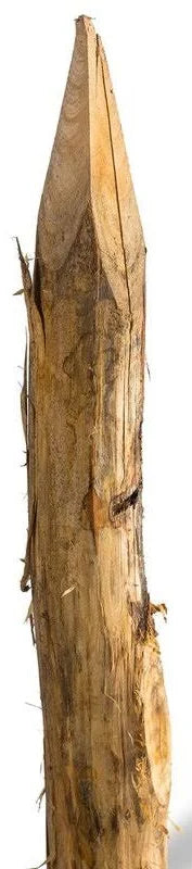 Robinia palen 8–10 cm x 180 cm gepunt